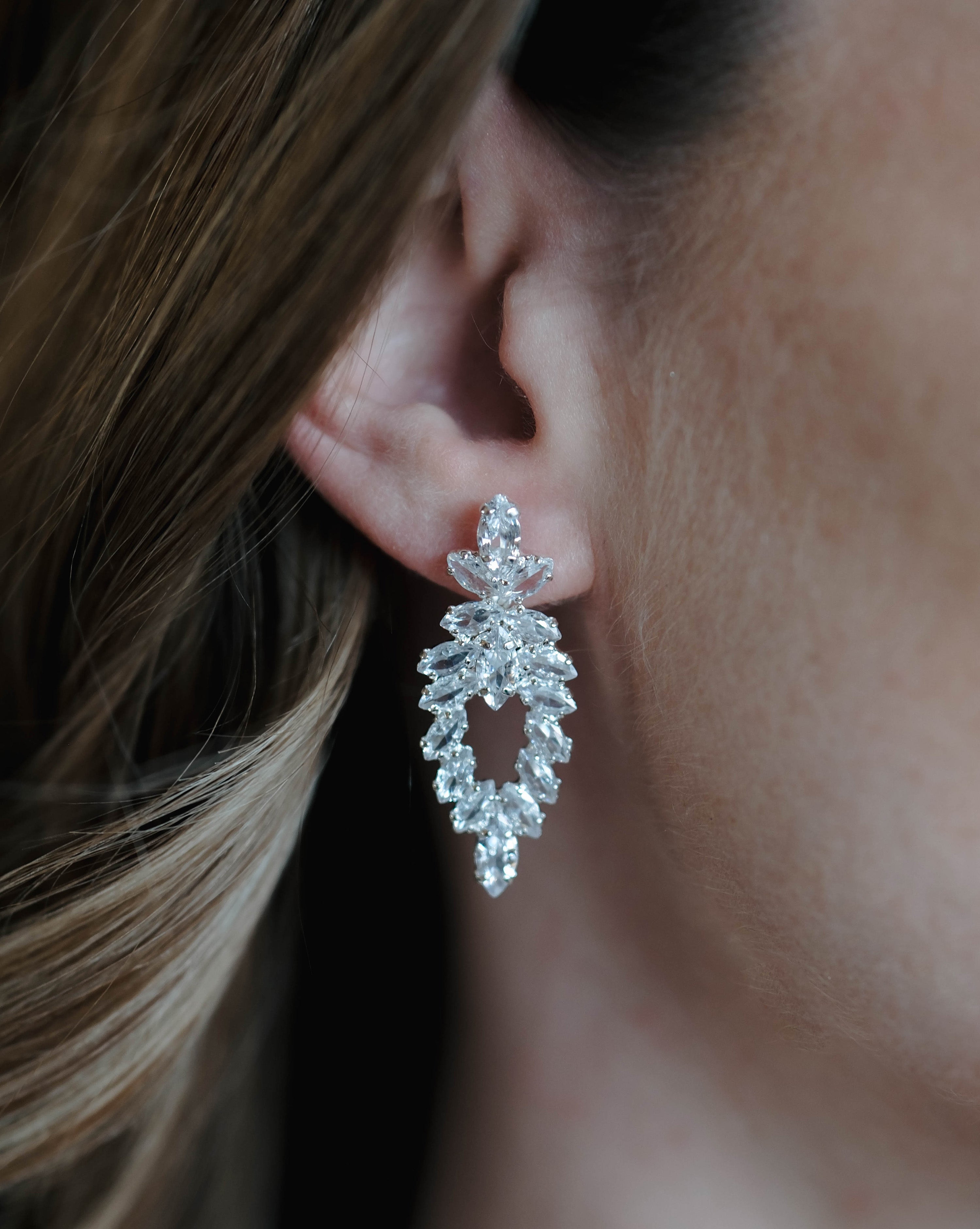Earrings: Zirconium Earrings