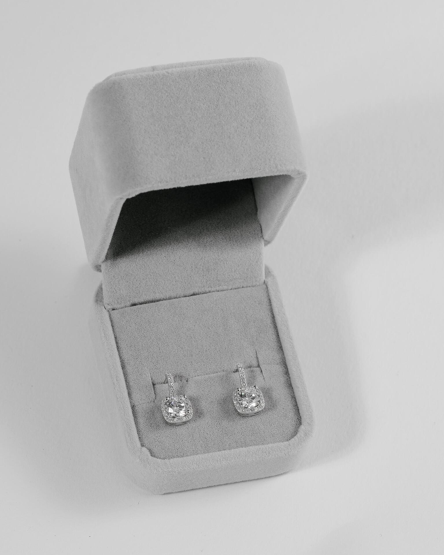 Silver earrings: Amarette