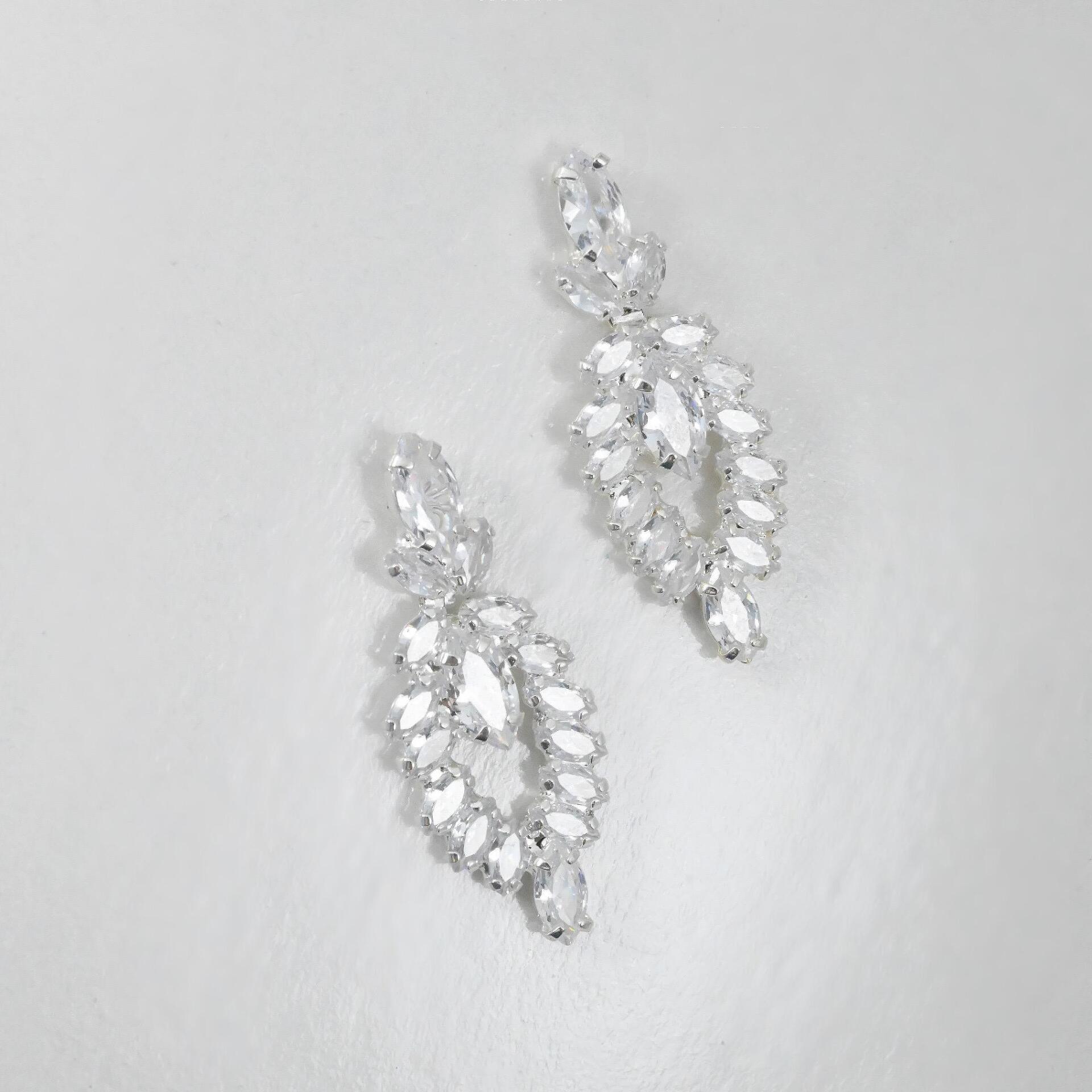 Earrings: Zirconium Earrings