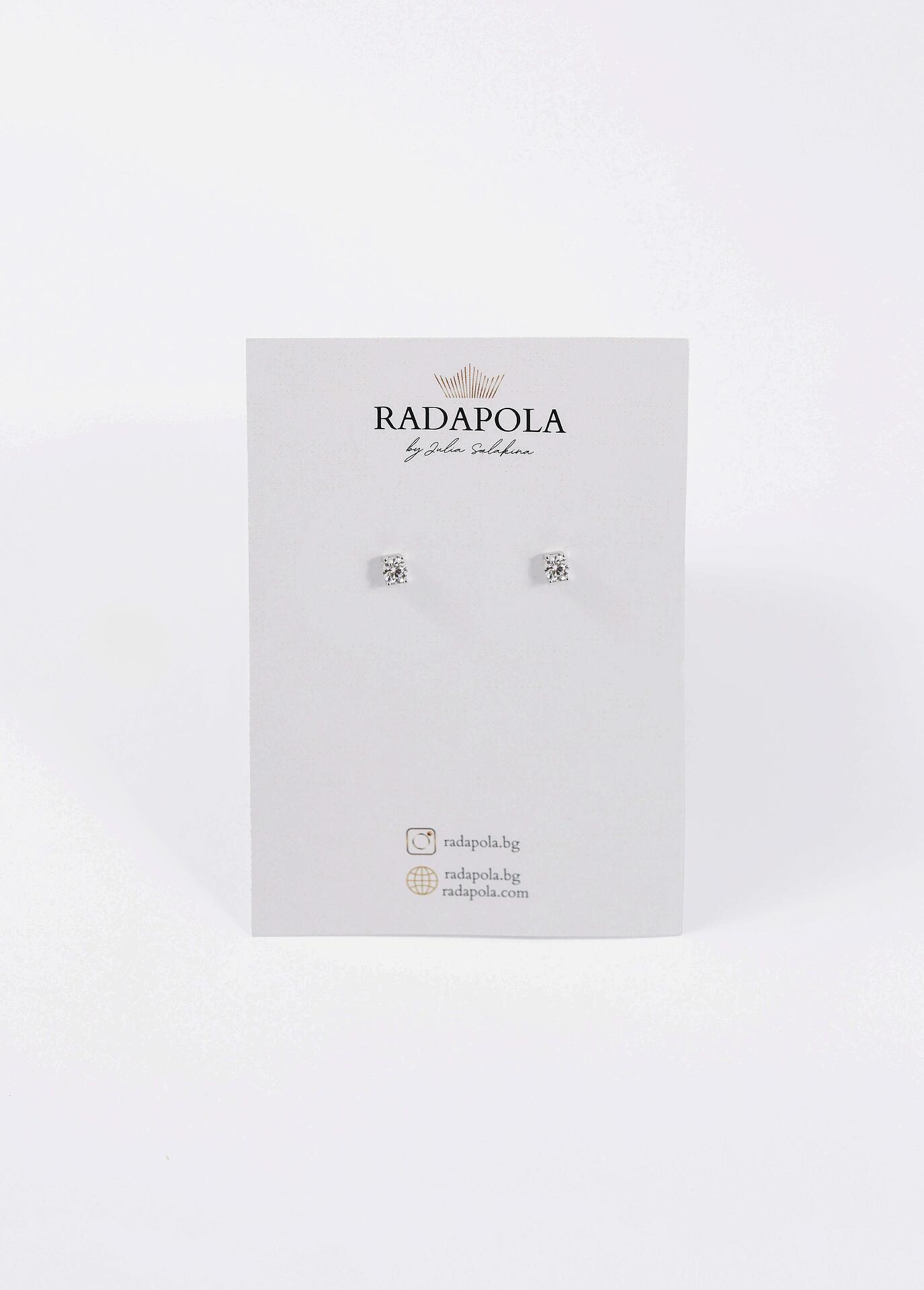 Silver earrings with stones
