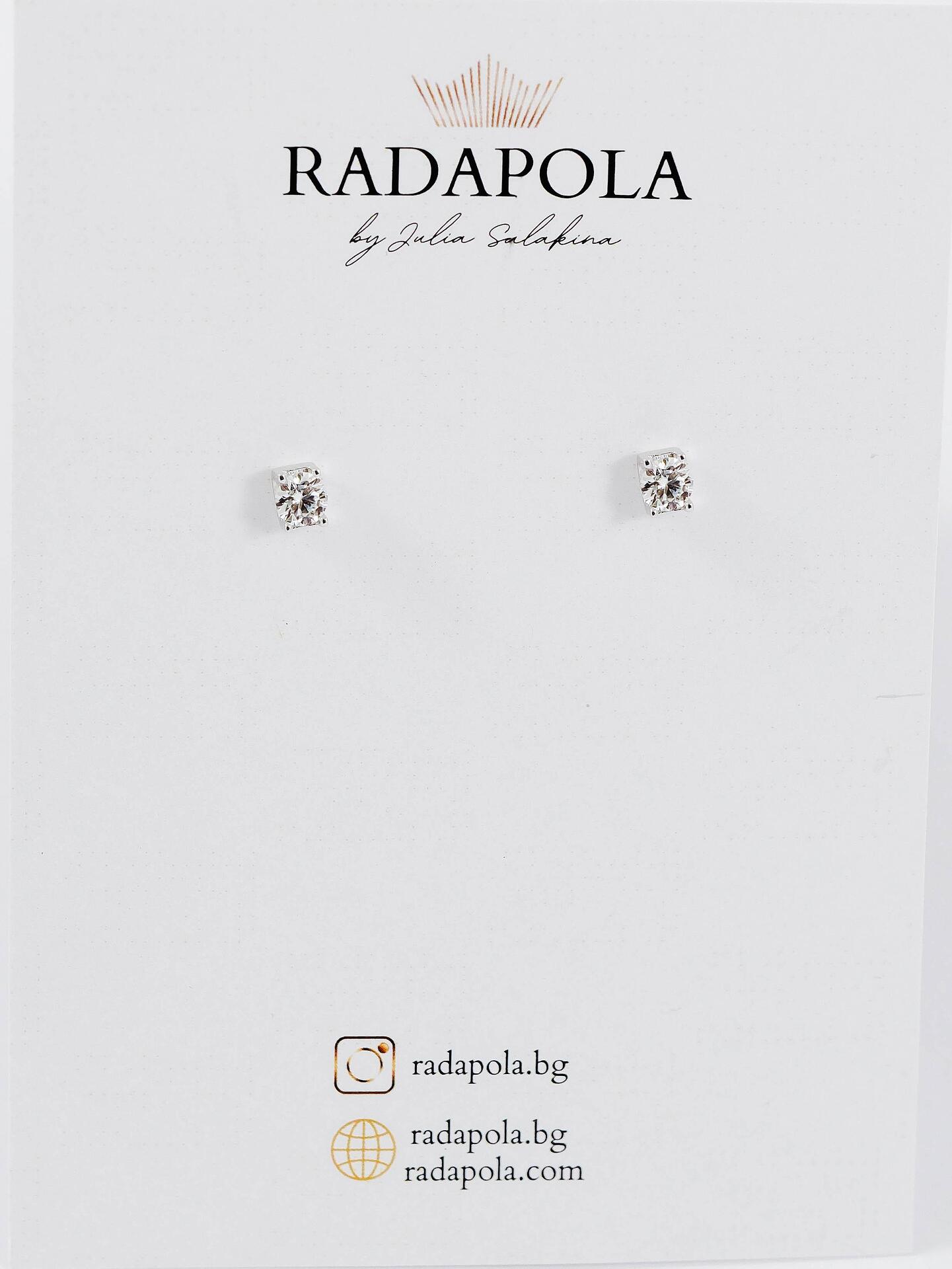 Silver earrings with stones